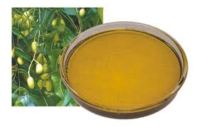 Neem Oil Manufacturer Supplier Wholesale Exporter Importer Buyer Trader Retailer in Hyderabad Gujarat India